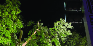 Industry Report Highlights Adoption of Emergency Lighting In Response to Increasing Roadway Fatalities