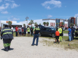 Are You Allergic to Training?