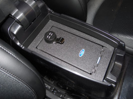 Console Vault – Protect Yourself!