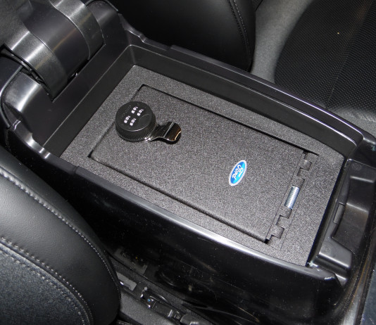 Console Vault ā Protect Yourself!