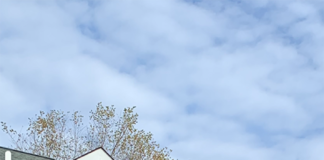 A Very High Profile Recovery